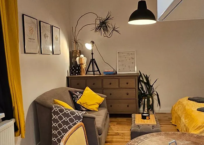 Brainy Apartments - South